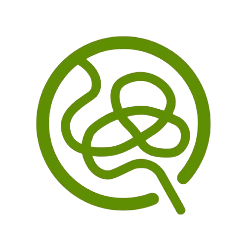 Qordinate logo